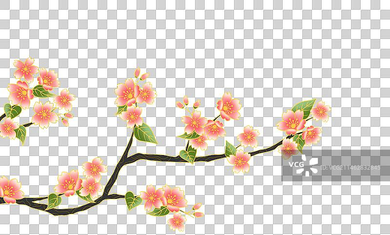春天桃花盛开图片素材