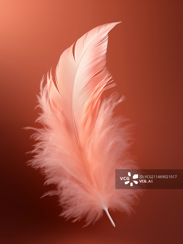 【AI数字艺术】光照的一只粉色羽毛图片素材
