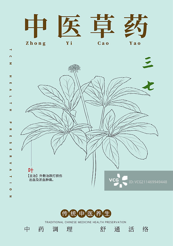 手绘中草药三七特写植物插画版式设计海报图片素材