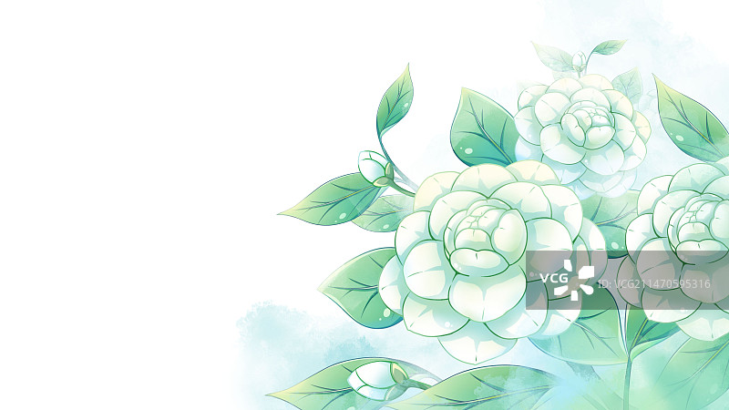 山茶花，唯美清新水彩花卉系列插画图片素材