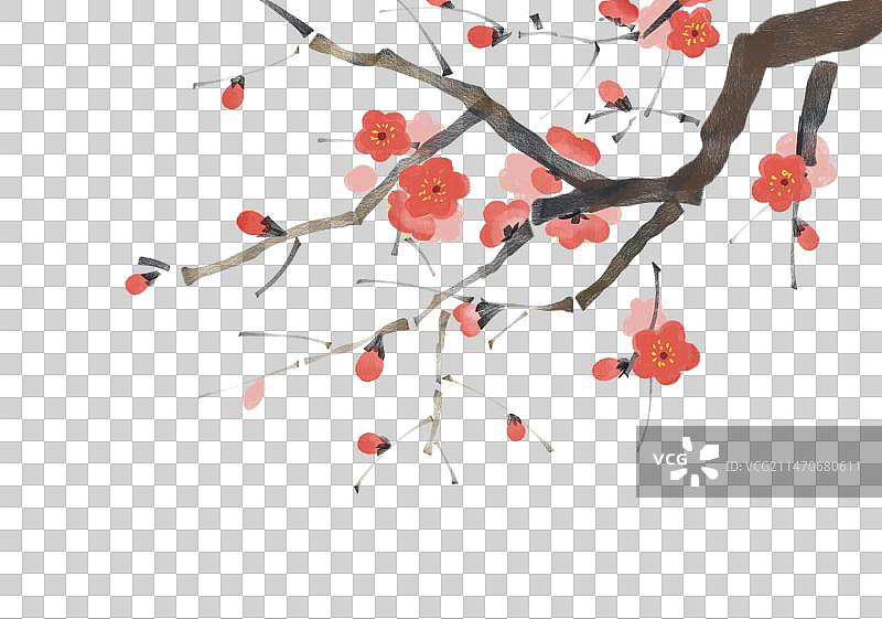 手绘可爱植物梅花桃花枝条图片素材