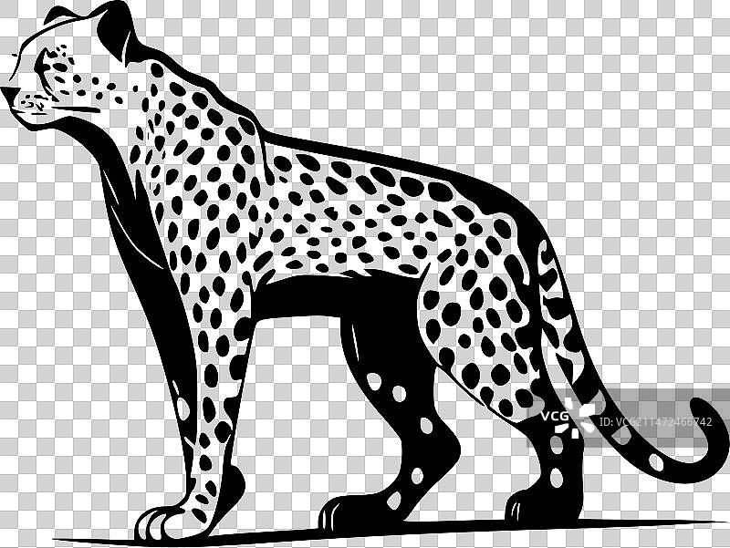 猎豹印刷-高品质的标志-理想的图片素材