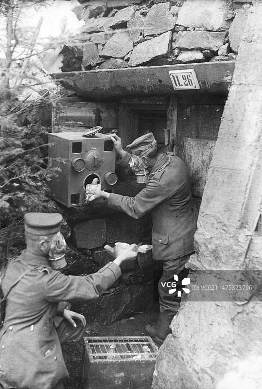 第一次世界大战，德国信鸽的气体保护图片素材