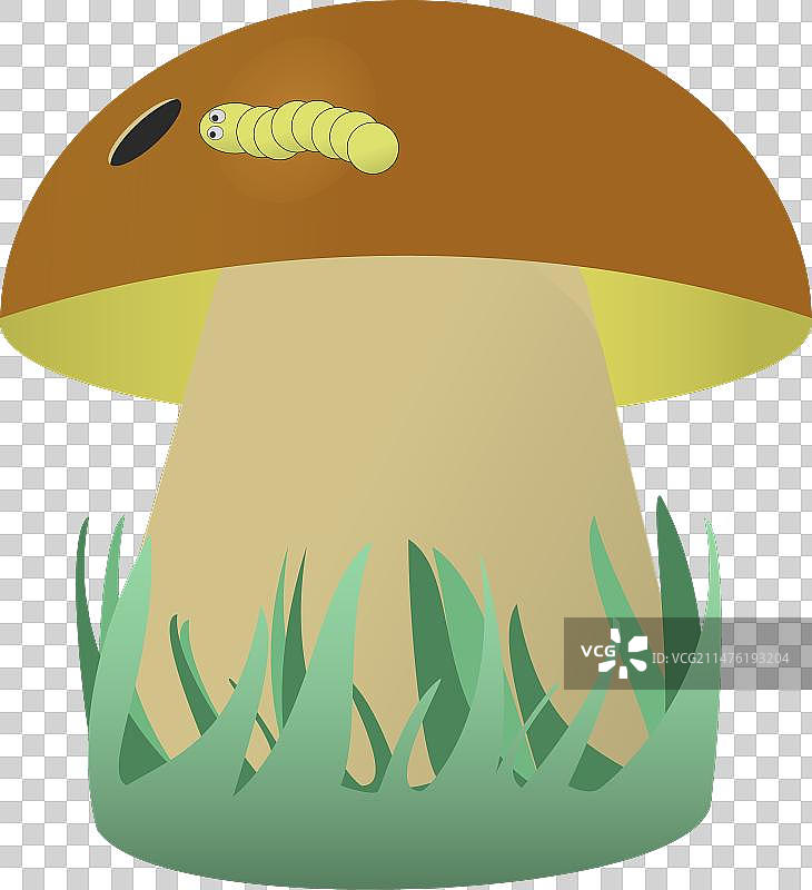 蘑菇在草丛中带着虫子落在了帽子上图片素材