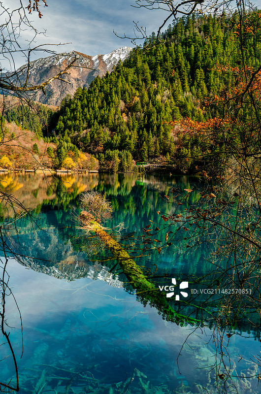 秋天金色的山林倒映在湖泊中图片素材