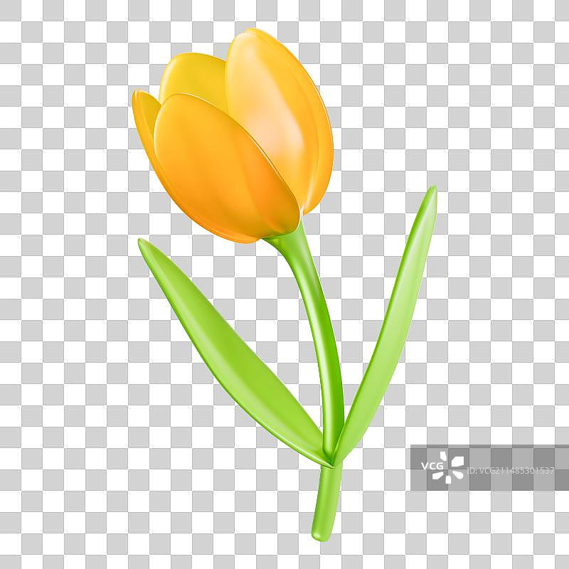 3D立体元素郁金香春日花朵盛放图片素材