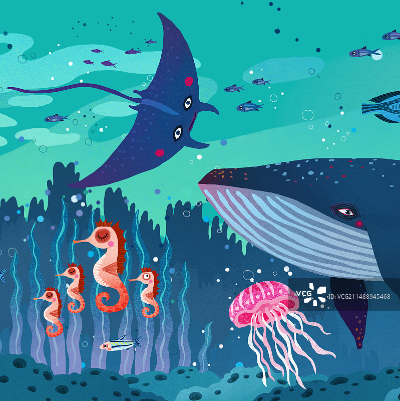儿童插画动物插画拼图插画 蝙蝠鱼和蓝鲸图片素材