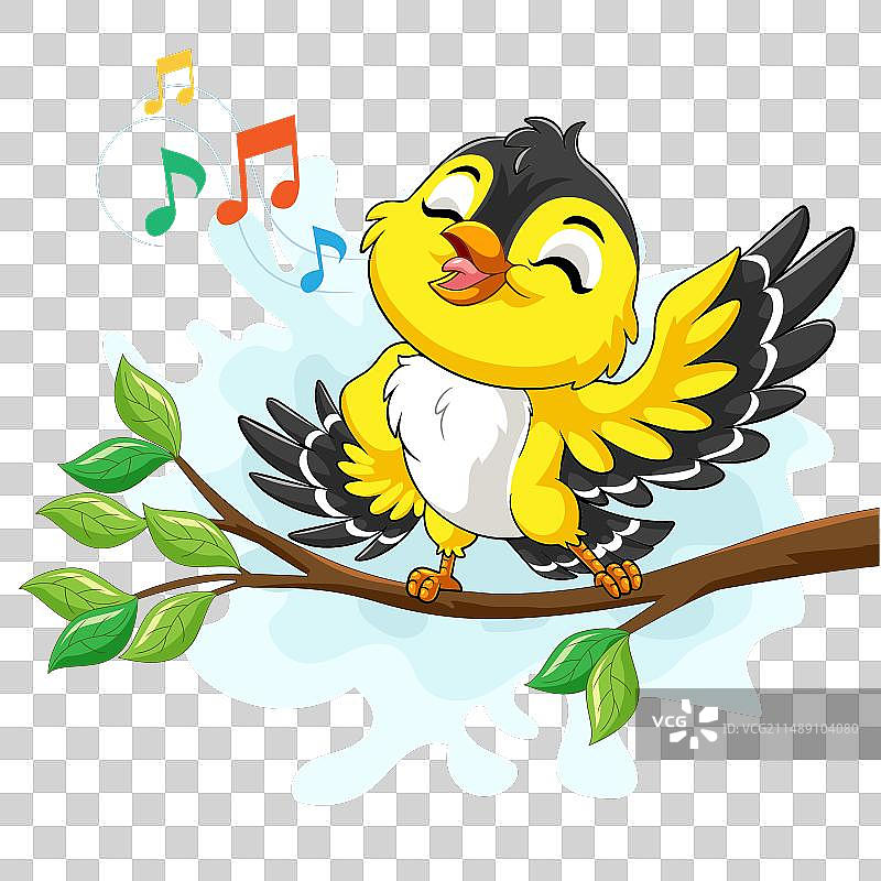 可爱的黄色金丝雀在唱歌图片素材