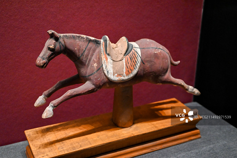 新疆博物馆 唐代彩绘泥塑骑马俑 阿斯塔纳墓葬出土图片素材