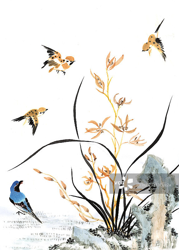 国画--兰花、鸟、奇石图片素材