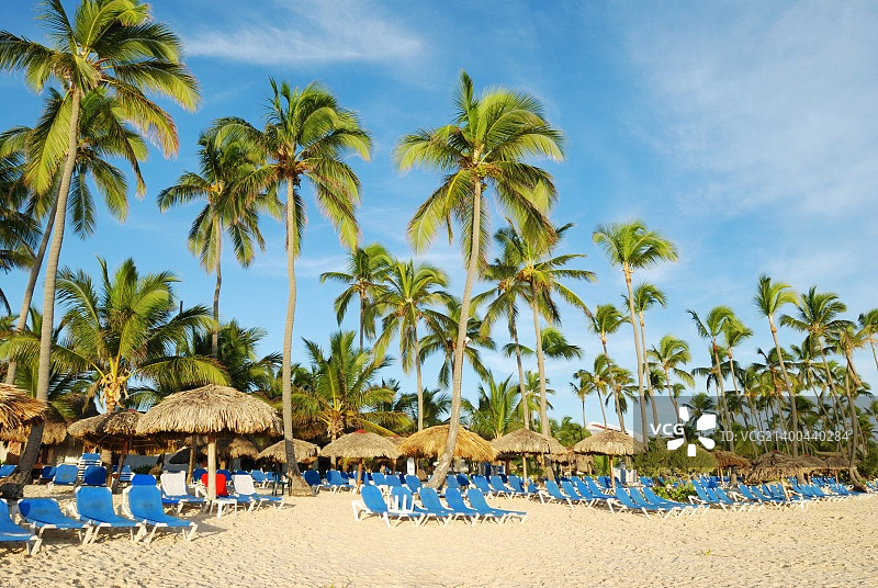 多米尼加共和国美丽的加勒比海滩和躺椅图片素材