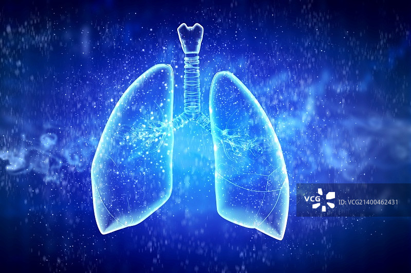 人体肺的示意图图片素材