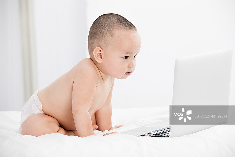 一个正在注视着电脑的婴儿图片素材