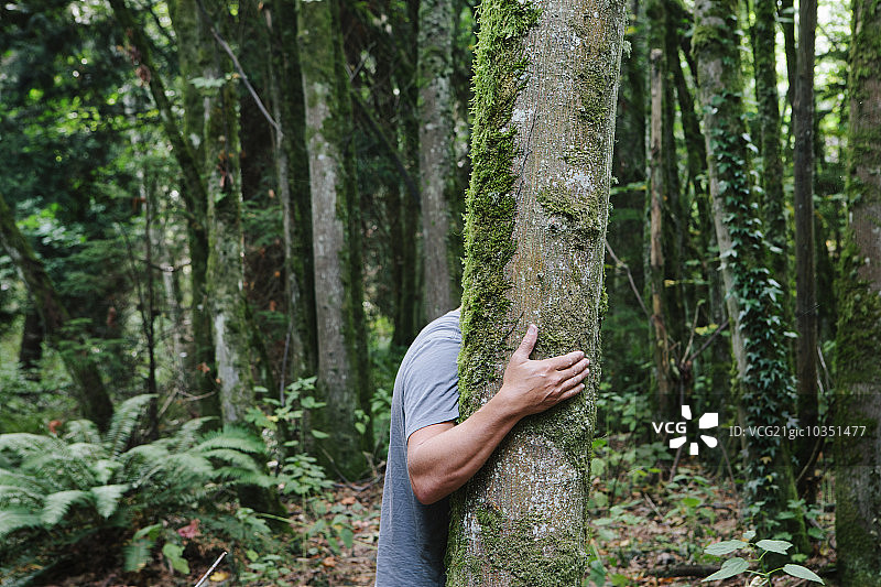 在郁郁葱葱的森林里，男人拥抱着一棵树图片素材