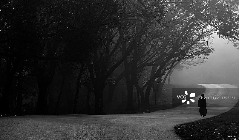 印度西高茨，一名男子独自走在空旷的道路上，树下有雾图片素材