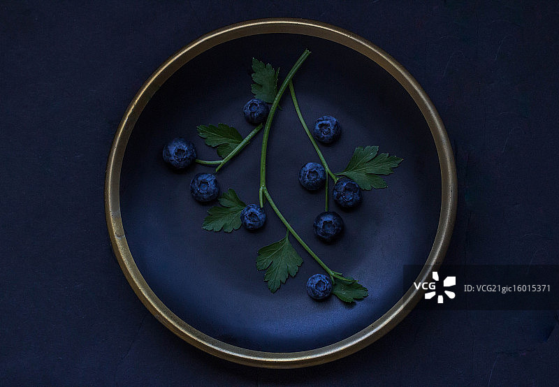 蓝莓放在盘子里的小枝上图片素材