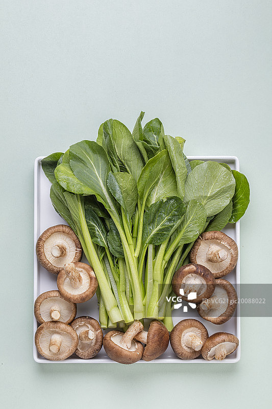 香菇和油菜图片素材