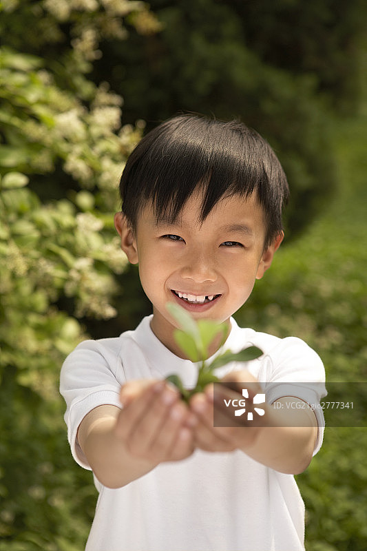 小男孩和植物图片素材
