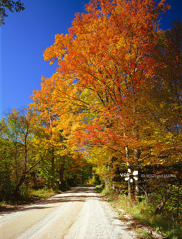 加拿大秋天自然风光图片素材
