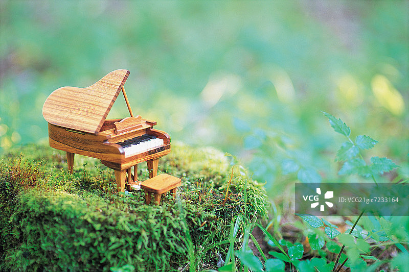 苔藓岩石上的一架小钢琴图片素材