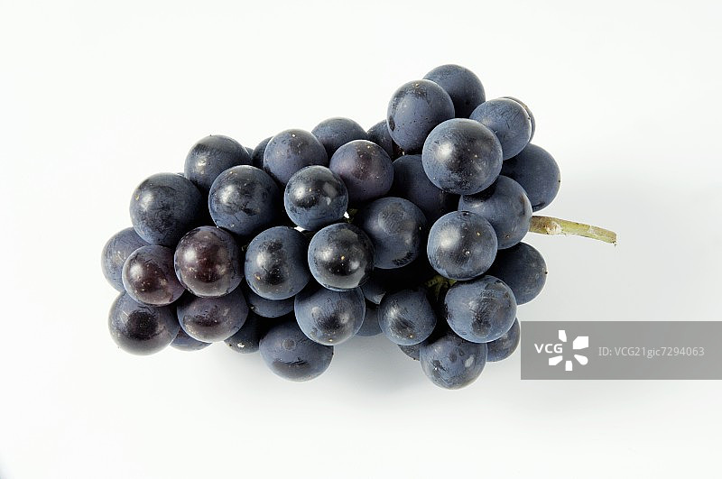 Black grapes, variety M眉llerrebe图片素材