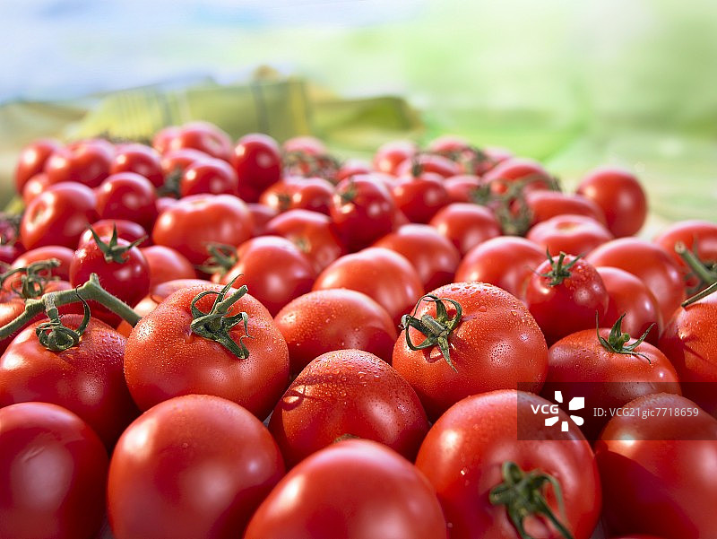 许多红色的西红柿在白色的背景图片素材