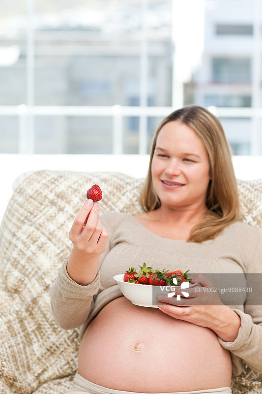 可爱的孕妇看着一个草莓，同时放松在沙发上图片素材