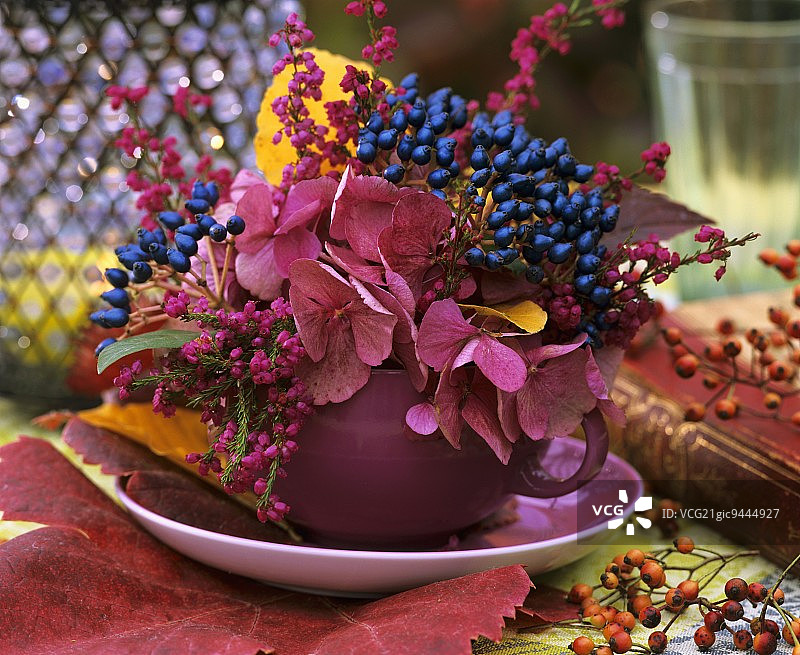 秋天的安排与浆果作为餐桌装饰图片素材