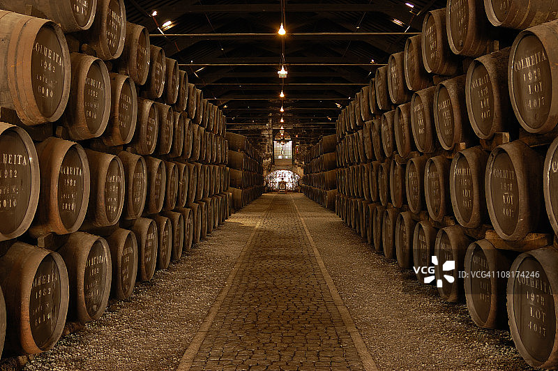 大酒窖中的一排排酒桶图片素材