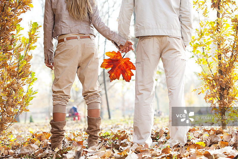 秋天在公园和年轻的夫妇。图片素材
