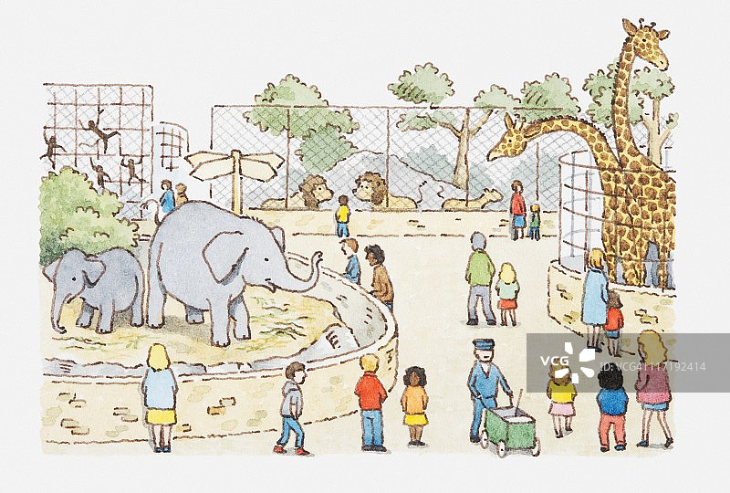 动物园场景的插图图片素材