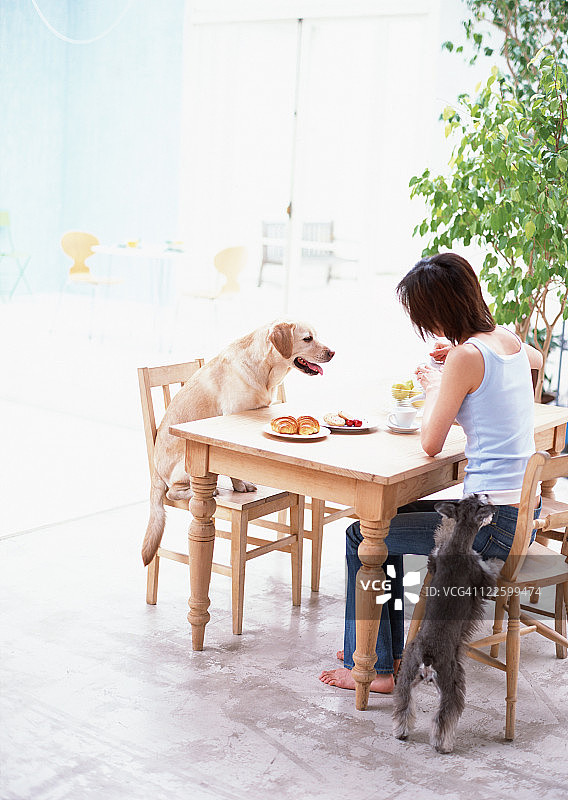 和狗一起吃早餐的女人图片素材