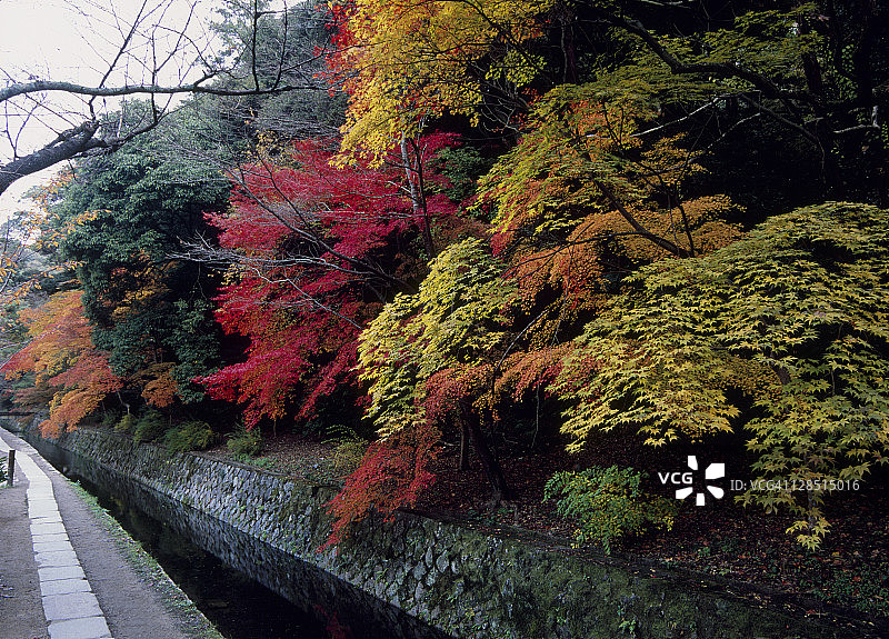 日本京都，tetsuaku -no-michi和秋叶图片素材