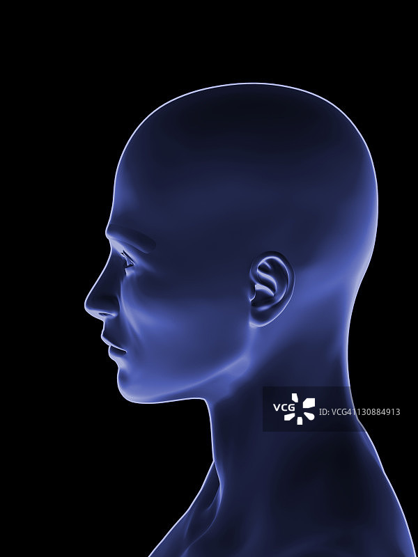 蓝色人类头部，侧视图，3D插图图片素材