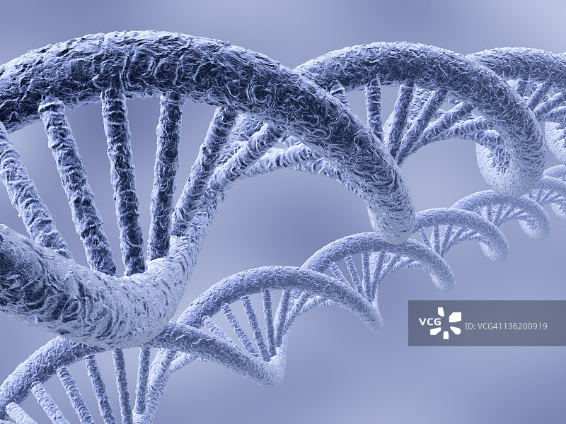 两个蓝色DNA链的特写蒙太奇图片素材