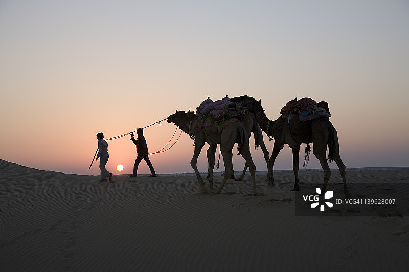 日落时分，男孩们和骆驼一起散步图片素材