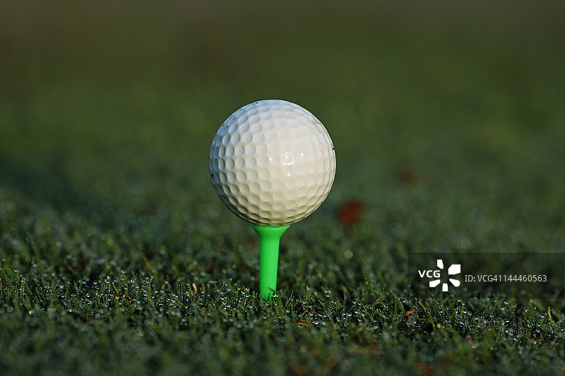 高尔夫球场球座上的高尔夫球图片素材