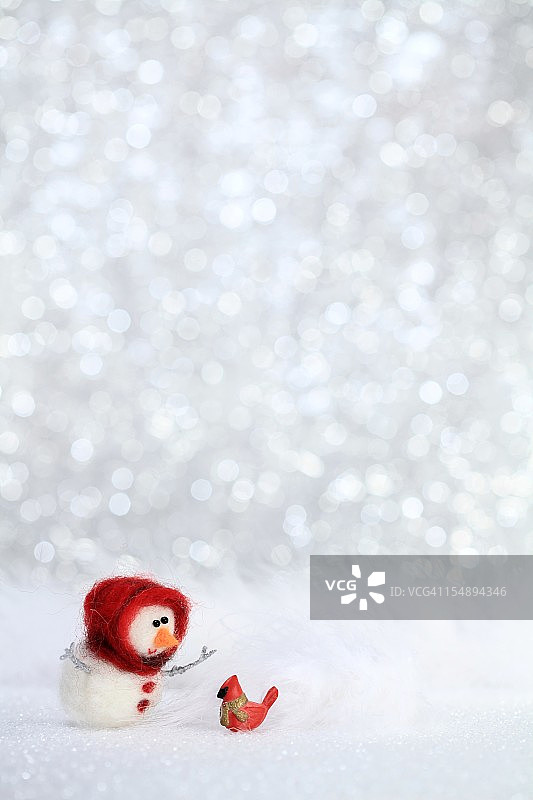 雪姑娘和红鸟图片素材