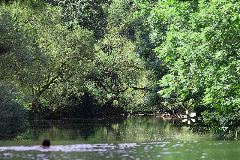 游泳者在绿色的河流森林图片素材