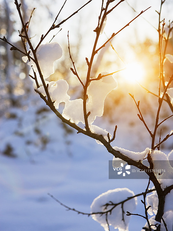 冬天温暖的阳光图片素材