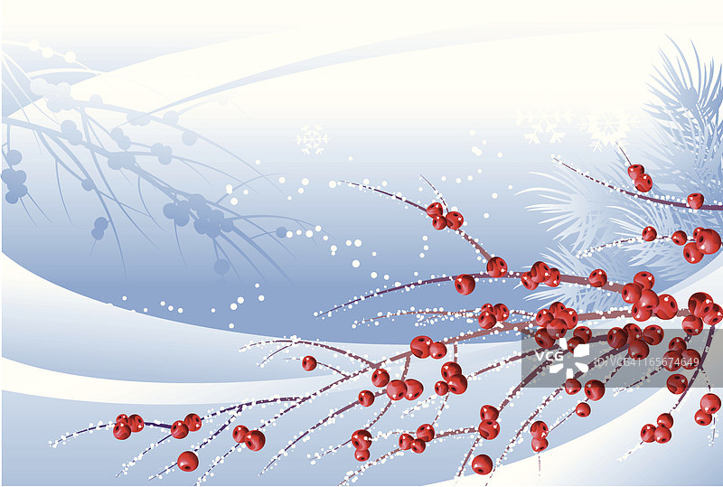 雪中的红浆果图片素材