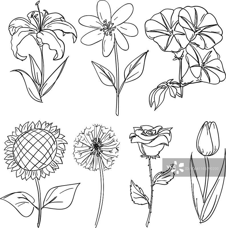 花收集在黑色和白色图片素材