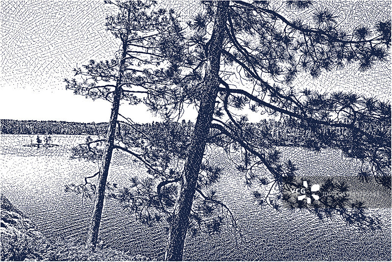 荒野湖和松树图片素材