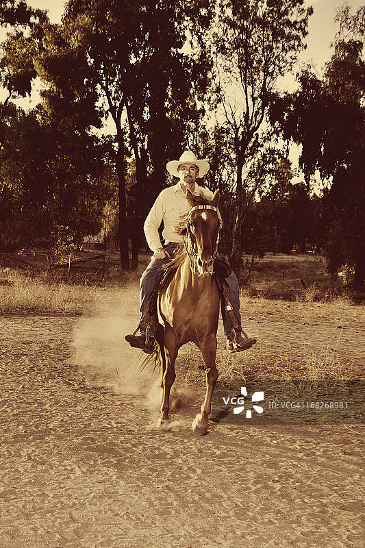 一个骑着马的牛仔的肖像图片素材