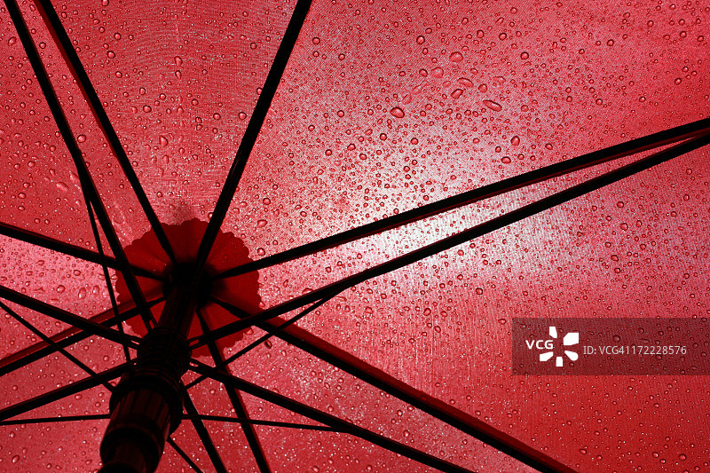红伞下图片素材