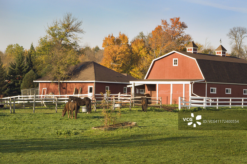秋季有牧场、马厩、谷仓和农舍的马场图片素材