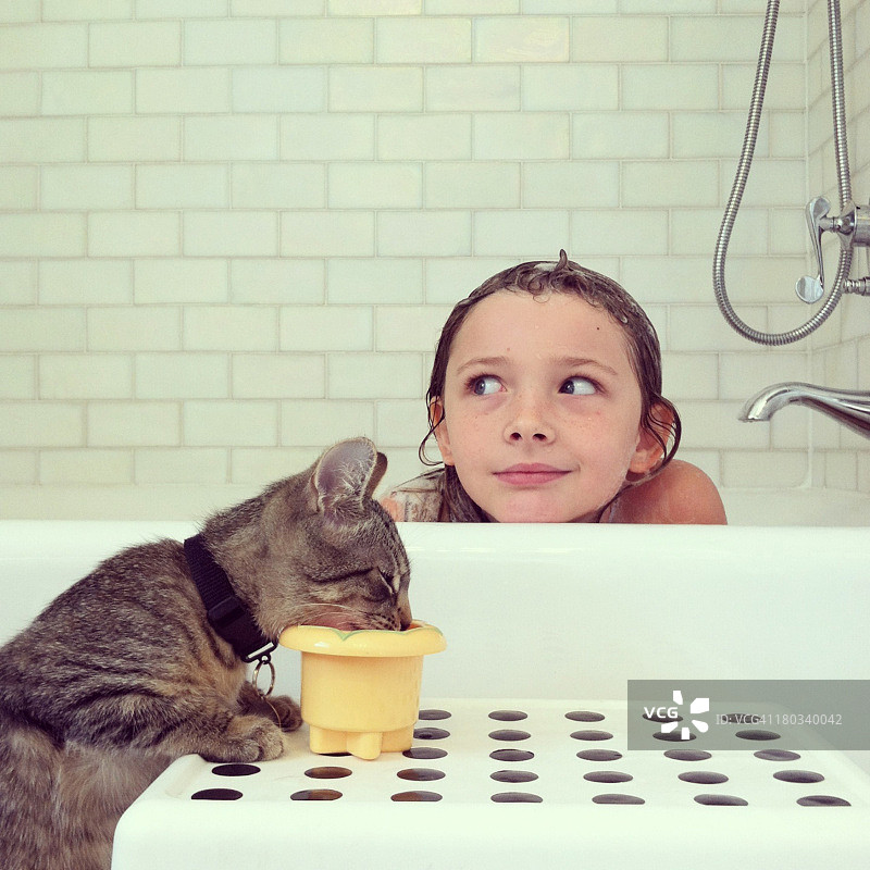 小猫,浴图片素材