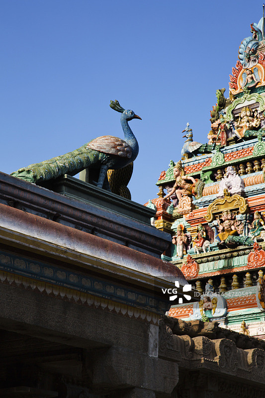 印度泰米尔纳德邦钦奈，Mylapore Kapaleeshwarar神庙的建筑细节图片素材
