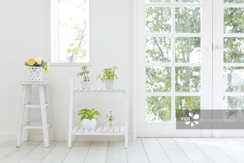 白色的室内装饰着鲜艳的花草图片素材