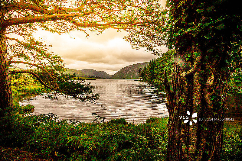 来自爱尔兰基拉尼国家公园的宁静景色图片素材
